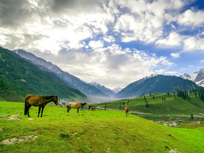 Valley of Dreams-Kashmir