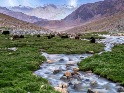 Valley of Heaven-Kashmir